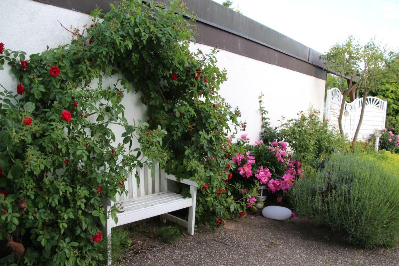 Schoene Zimmer Im Zentrum Leben Offenburg Exterior foto